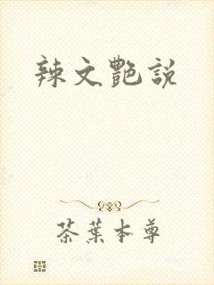 辣文艳说
