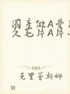 国产做A爱片久久毛片A片小说