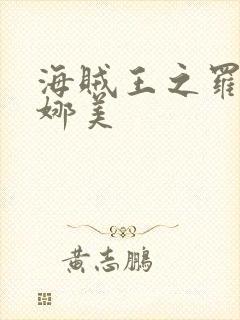 海贼王之罗宾h娜美