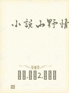 小说山野情债