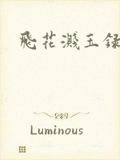 飞花溅玉录