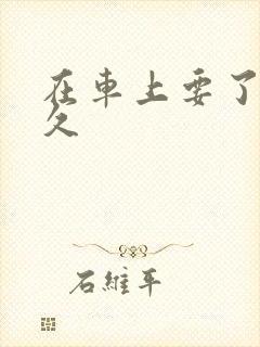 在车上要了我很久