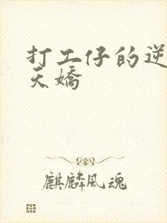 打工仔的逆袭楚天娇