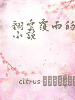 翻云覆雨的秘密小说