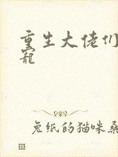 重生大佬们的团宠