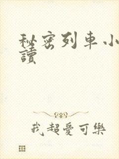 秘密列车小说阅读