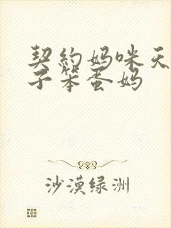 契约妈咪天才儿子笨蛋妈