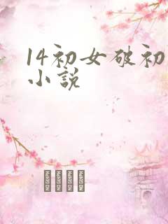 14初女破初的小说