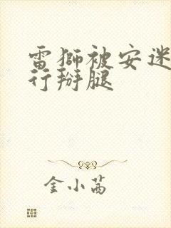 雷狮被安迷修强行掰腿