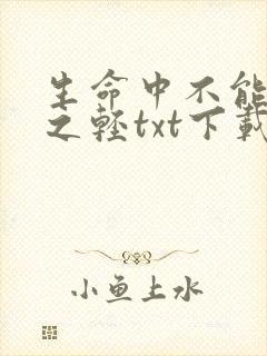 生命中不能承受之轻txt下载