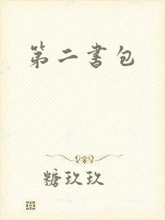 第二书包
