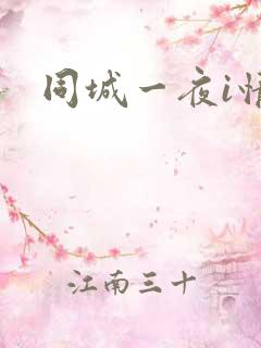 同城一夜i情