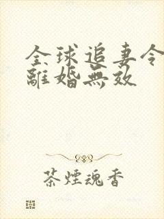 全球追妻令老婆离婚无效