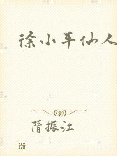 徐小平仙人指路