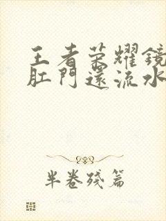 王者荣耀镜被捅肛门还流水