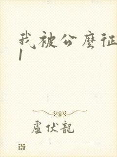 我被公么征服了1