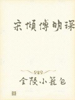 宋倾傅明琛小说