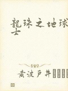 龙珠之地球人战士