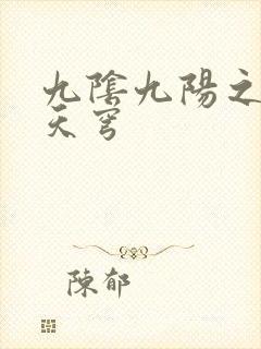 九阴九阳之武战天穹