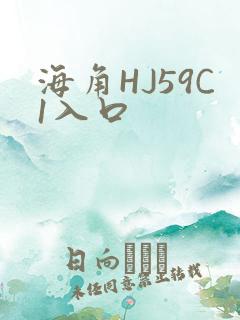 海角HJ59C1入口