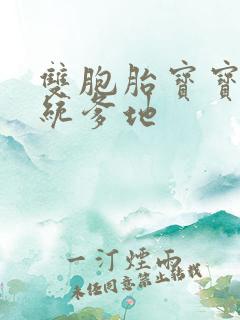 双胞胎宝宝的总统爹地