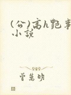 (公)高h艳事小说