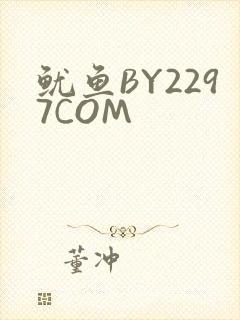 鱿鱼BY2297COM