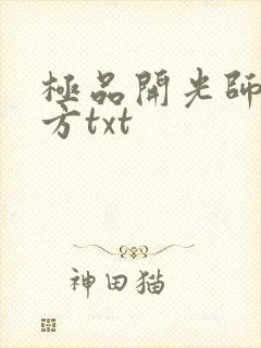 极品开光师李南方txt