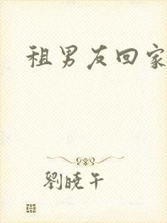 租男友回家过年