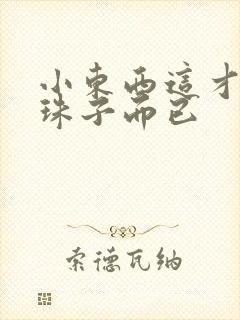 小东西这才一颗珠子而已