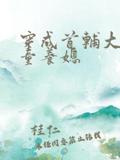 穿成首辅大人的童养媳