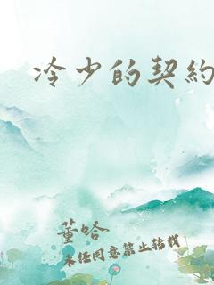 冷少的契约囚奴