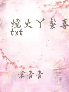 烧火丫鬟喜洋洋txt