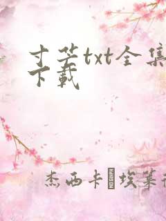 寸芒txt全集下载