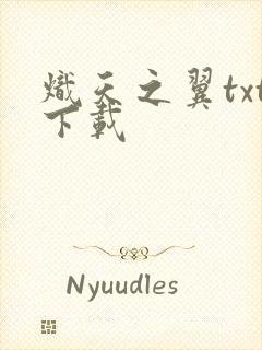 炽天之翼txt下载