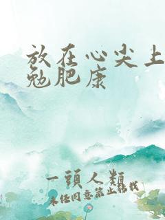 放在心尖上七猫勉肥康