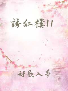 诱红楼11