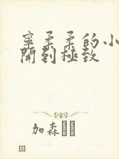 宁柔柔的小泬撑开到极致