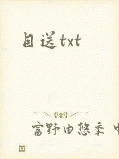 目送txt