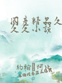 国产精品久久久久久小说