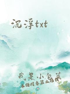沉浮txt