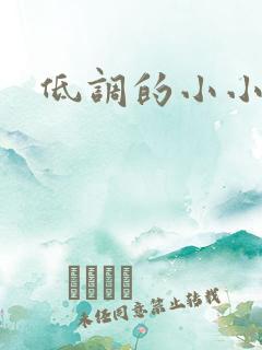 低调的小小宫女