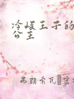 冷峻王子的完美公主