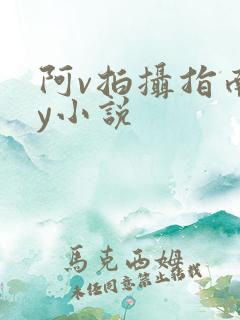 阿v拍摄指南by小说