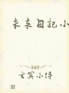 未来日记小说