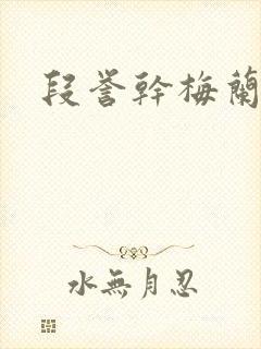 段誉干梅兰竹菊