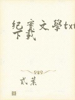 纪实文学txt下载