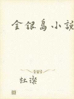 金银岛小说