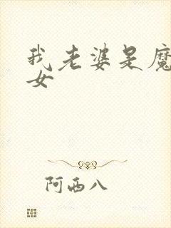 我老婆是魔法少女