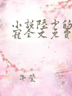 小说陆少的心尖宠全文免费阅读